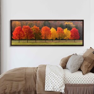 Row Of Autumn Colored Trees Along Country Road Photograph Wall Art Canvas Print, Fall Foliage, Cabin Decor, Ready To Hang