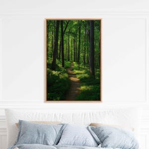 Tranquil Forest Hiking Trail, Wall Art Canvas Print, Dappled Sunlight, Peaceful Solitude