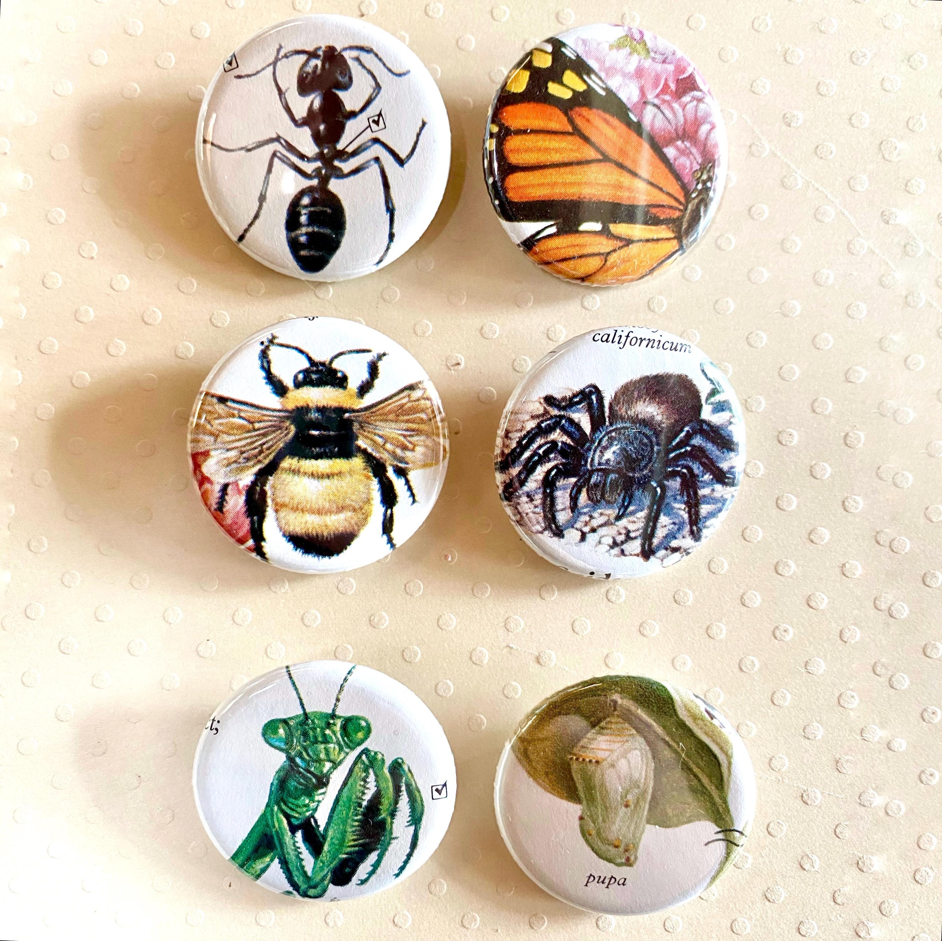 6 Upcycled Insect Pin Buttons, Random Vintage Science Illustration - Etsy