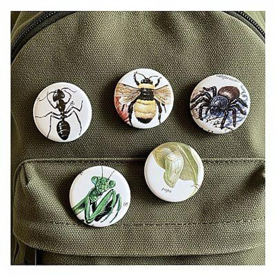 6 Upcycled Insect Pin Buttons, Random Vintage Science Illustration - Etsy