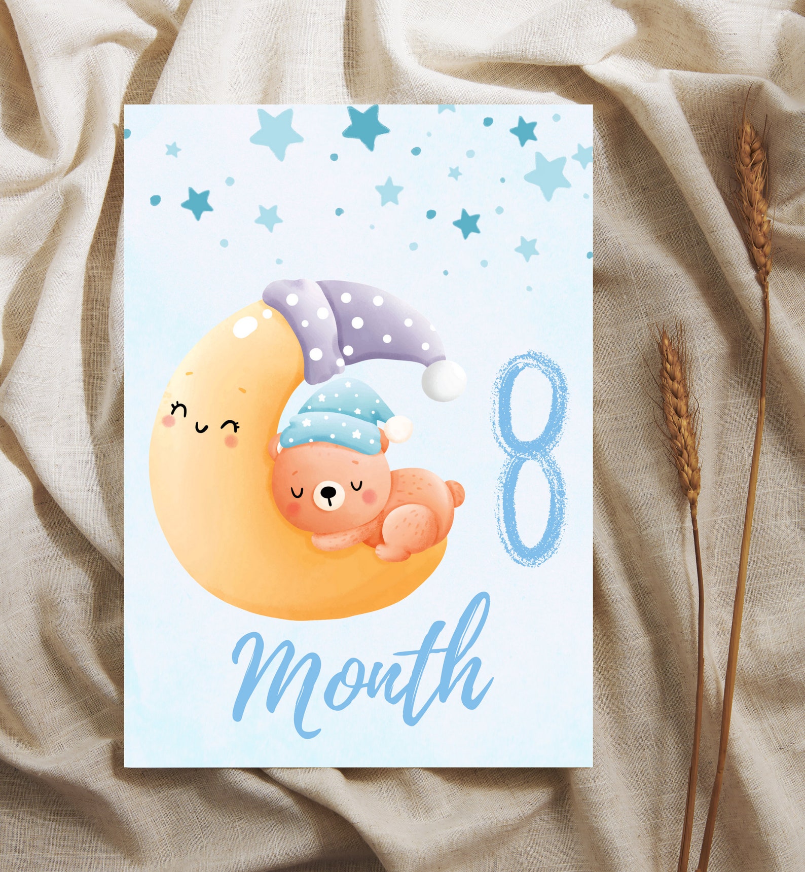 Baby Milestone Months Boy Printable , Set of 14 , Baby Progress Cards ...