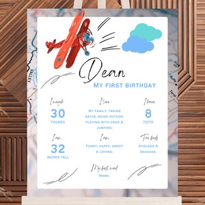 EDITABLE 16x20 Birthday Milestone Poster/Board, Printable Birthday Milestone Template, Airplane, Pilot, Planes, 1st 2nd 3rd 4th 5th 6th 7th