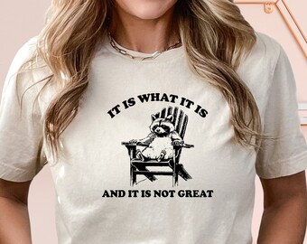 It is What It is and It is Not Great Shirt, Funny Raccoon Shirt, Retro  Graphic T-Shirt, Raccoon Meme Shirt, Meme Sweater, Funny Gift