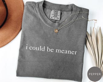 Comfort Colors® I Could Be Meaner Shirt, Funny Humor T-Shirt, Sarcastic Shirt, Funny Quote Tee, Sarcasm Shirt, Cool Shirt for Women,Meme Tee