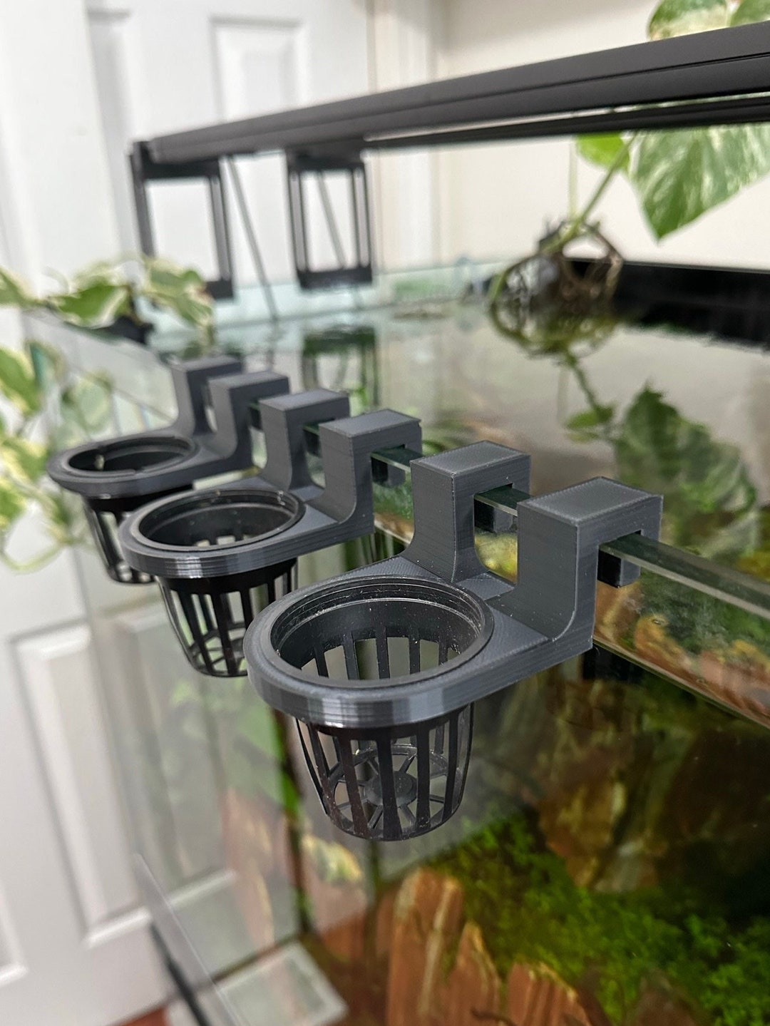 Plant Holder for RIMLESS Fishtank Etsy