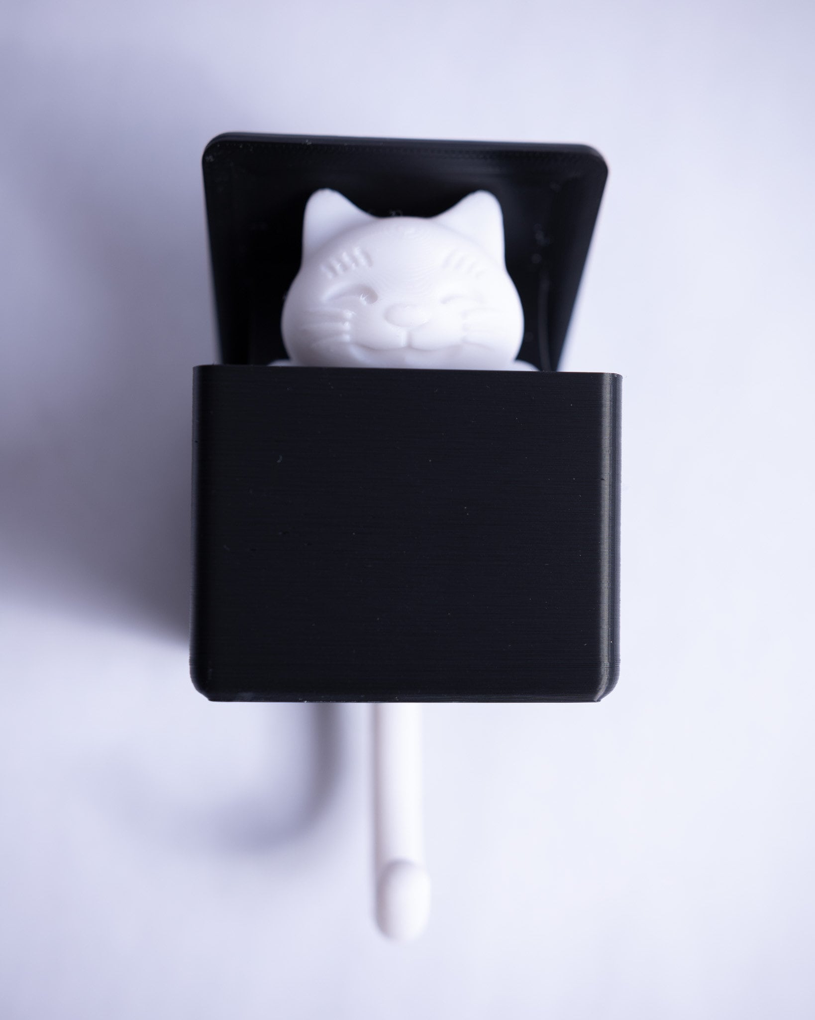 3D Printed Cat Key Holder: Popping Kitten Hook