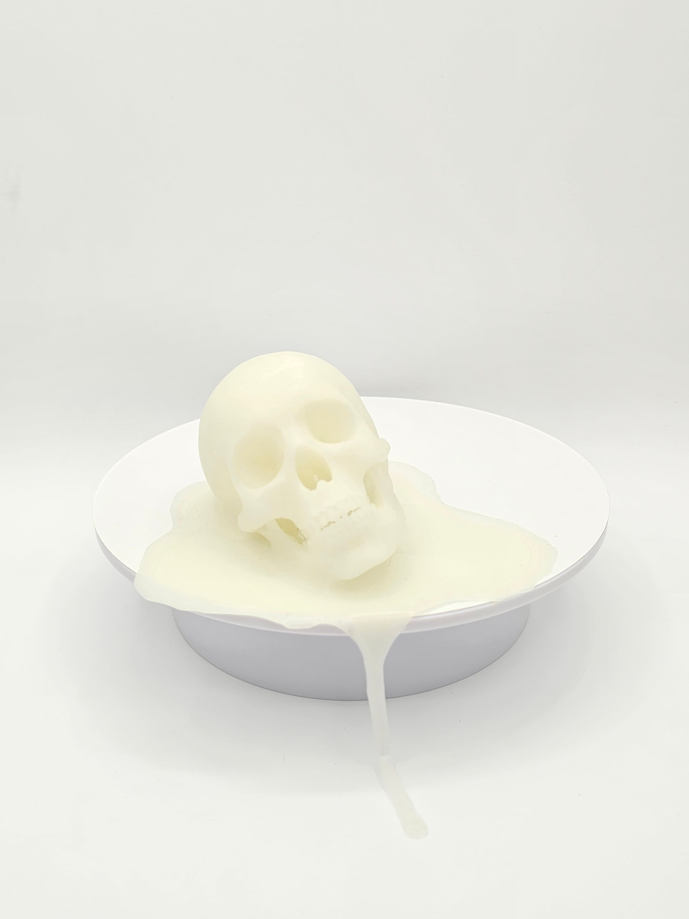 Melting Skull | 3D Printed | Glow in the dark