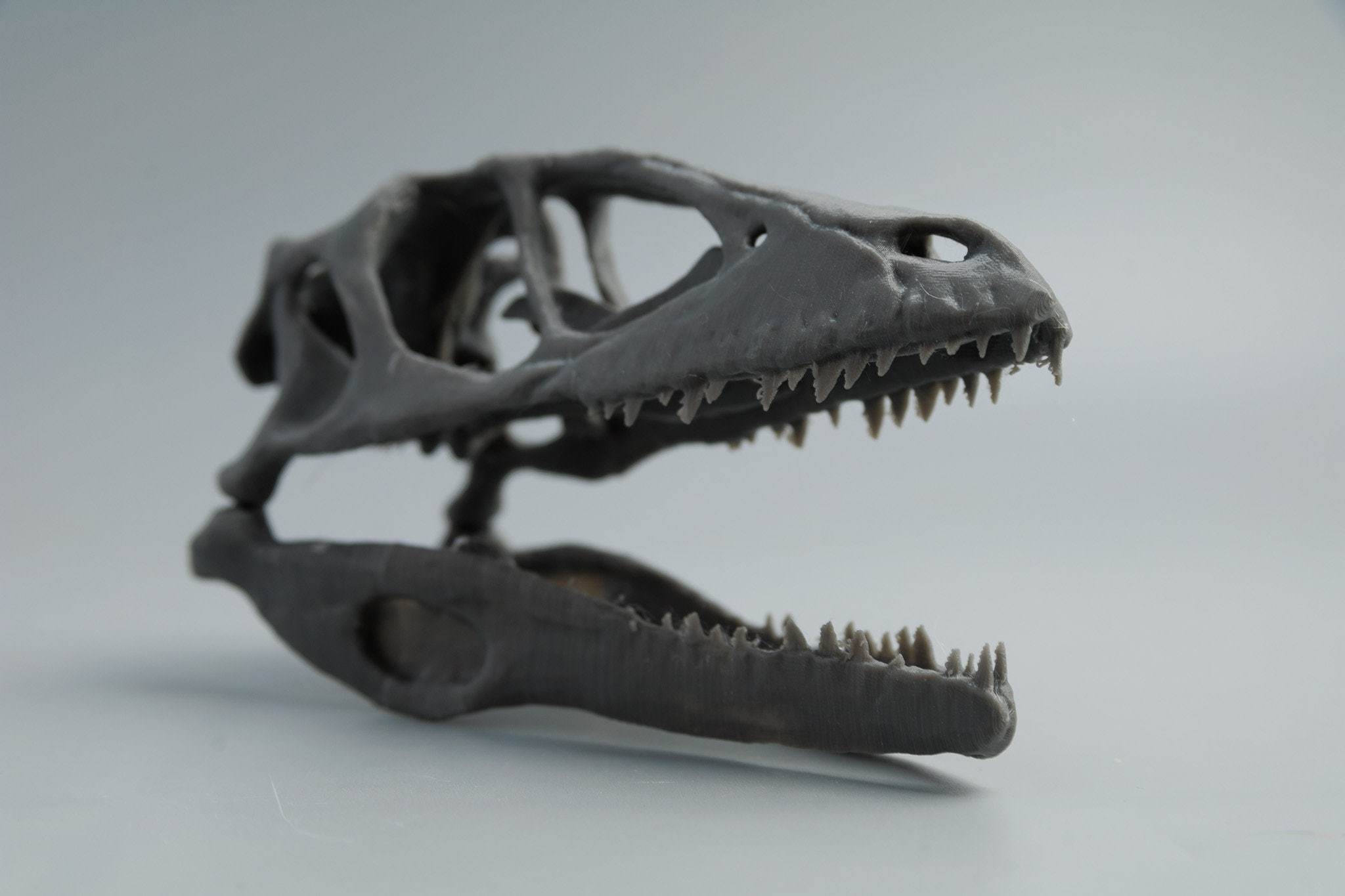 3D Printed Dinosaur Skull: PLA Biodegradable Decor