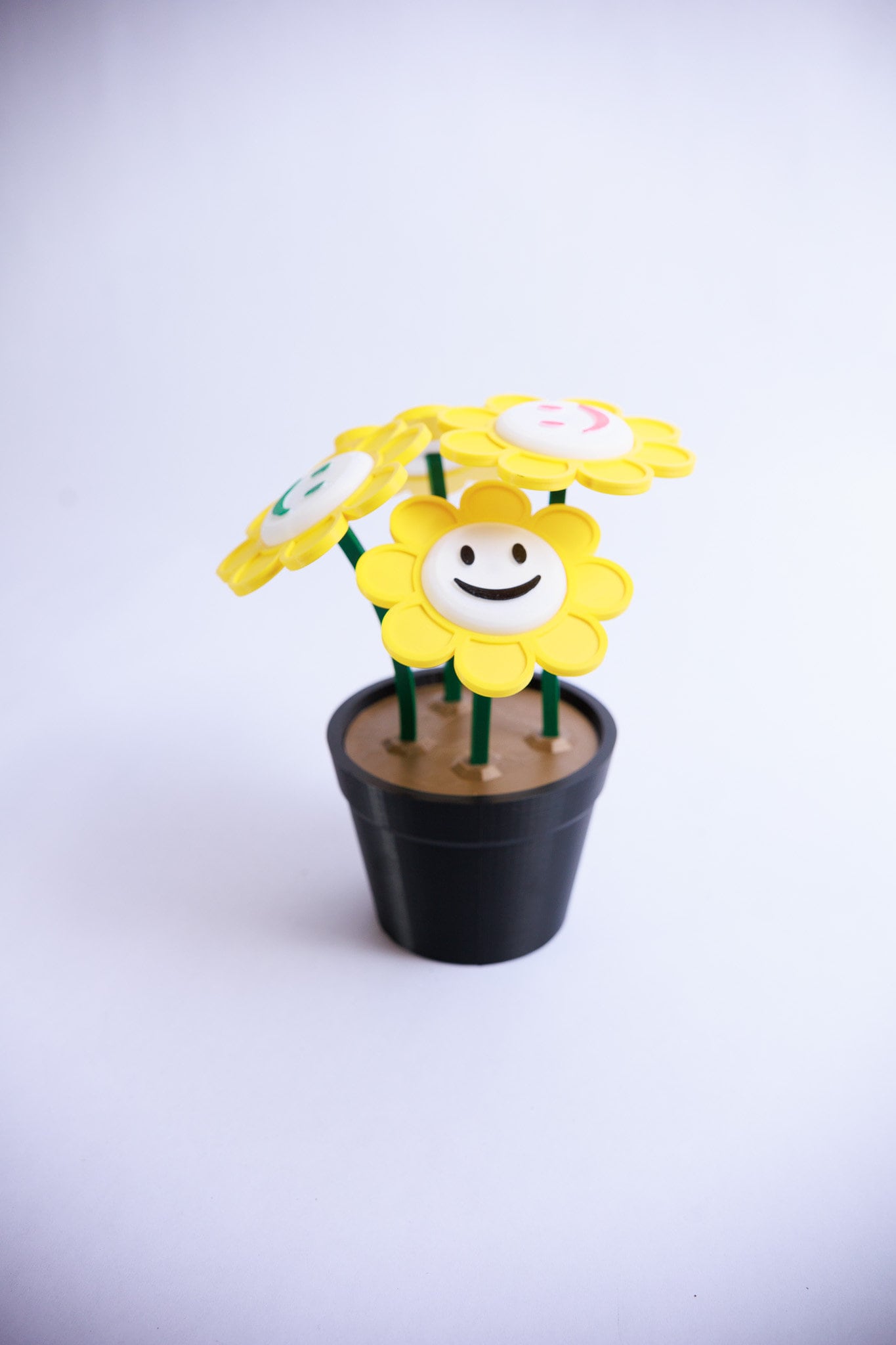 3D Printed Smiley Face Daisy Set: Custom Color Pot