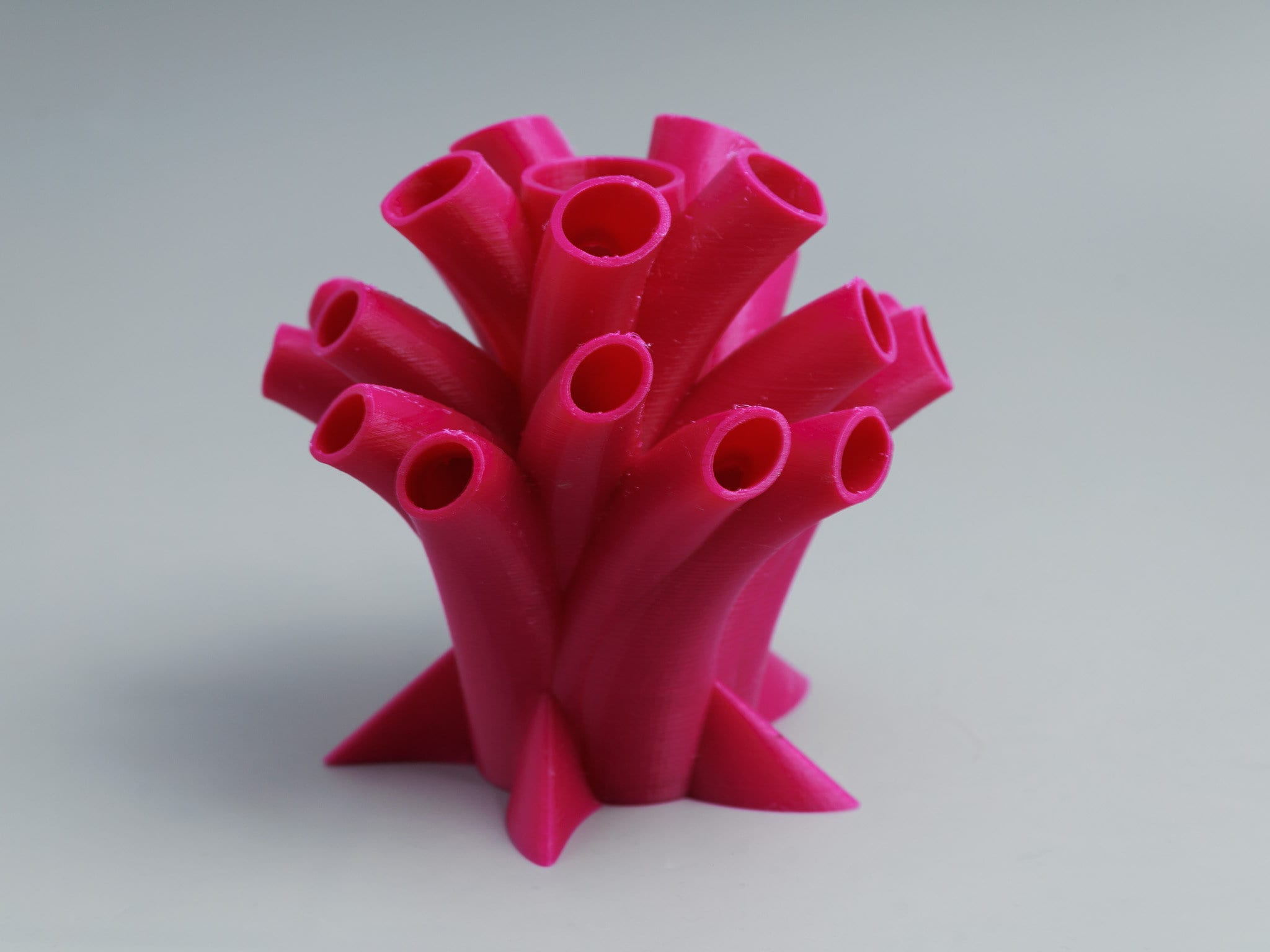 3D Printed Coral Pen & Pencil Holder: Unique Desk Organizer