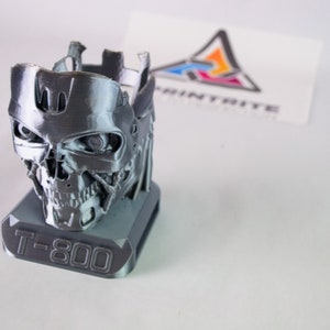 Op de afbeelding: Een metallic grijze T-800 Terminator schedel figuur. De schedel heeft gedetailleerde mechanische kenmerken en staat op een rechthoekige basis met "T-800" erop gedrukt. Een witte kaart met een kleurrijk logo staat op de achtergrond.