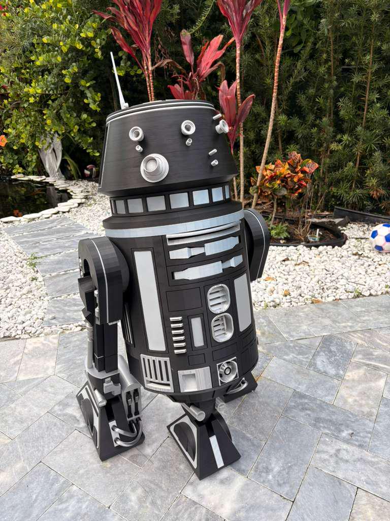 R2-Q5 Droid | 43