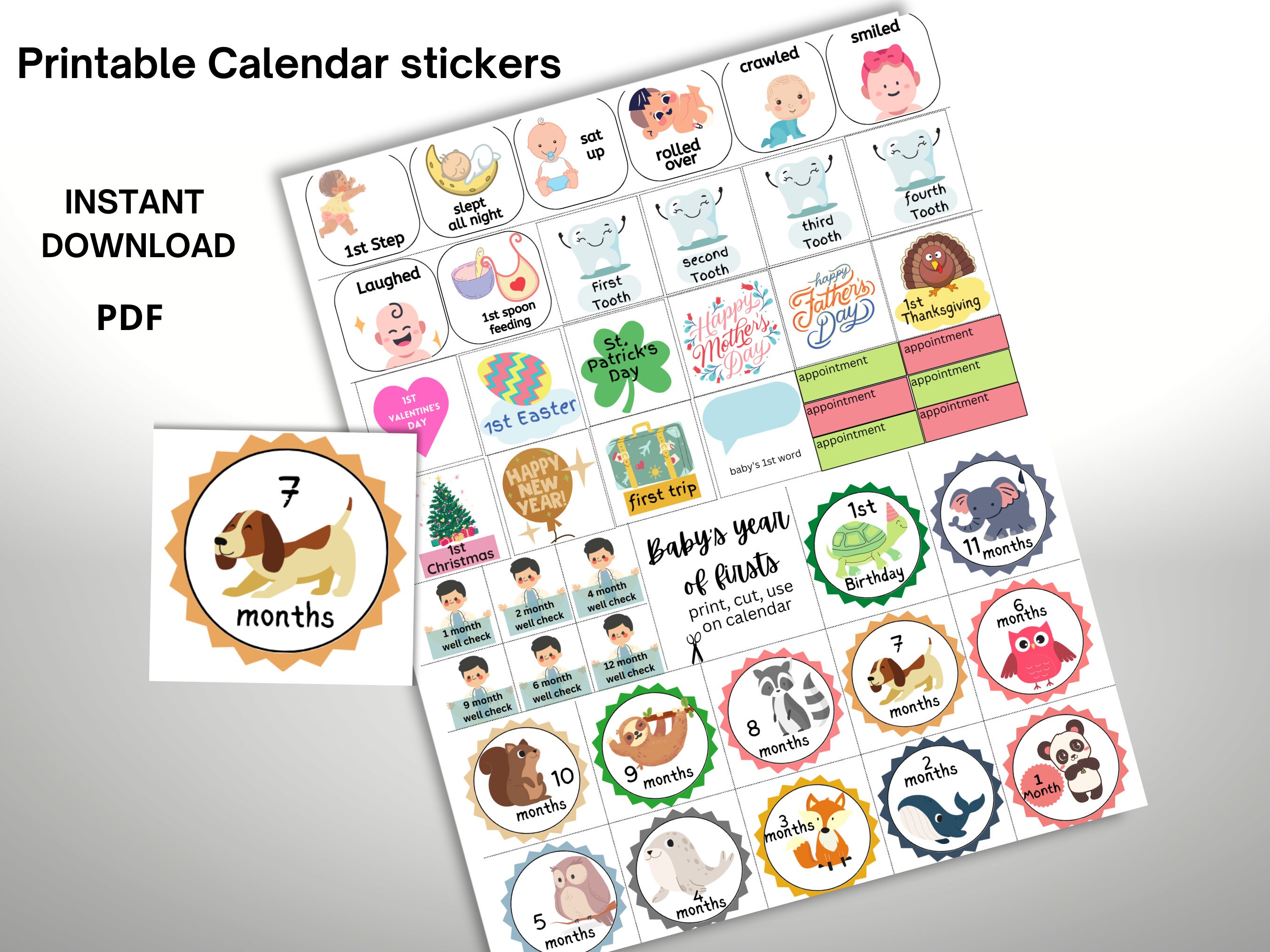 Baby's First Year Milestone Stickers - Etsy