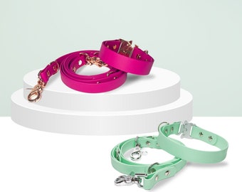 Leash and Collar | waterproof | custom made | in different colors