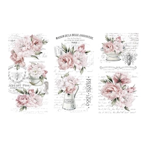 Wrijf op transfers voor ambachten en meubels | 3 ontwerpbladen van 6 x 12 inch van Thymeless Designs