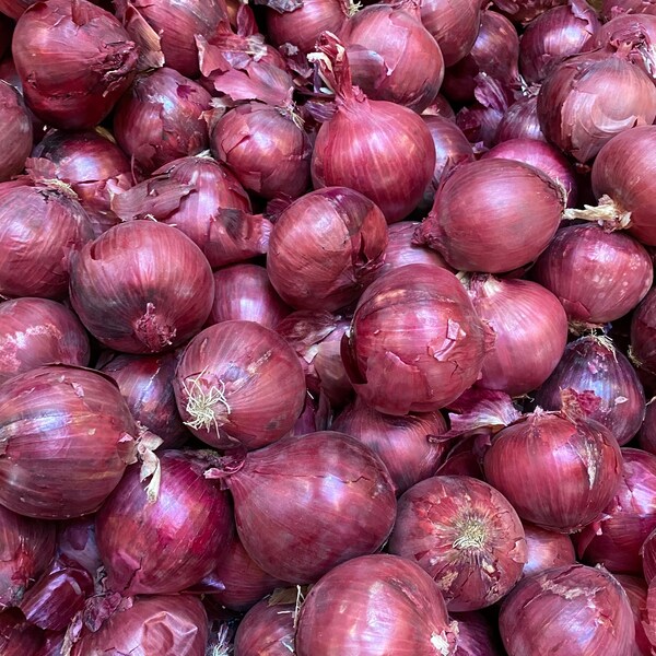 Fresh Sweet Italian Red Onions 6 pounds natural healthy delicious vegan family farmed hard harvested