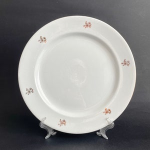 Antique Italian white porcelain plate with gold flowers / Richard Ginori late 19th/early 20th century / diameter 29 cm - RG08