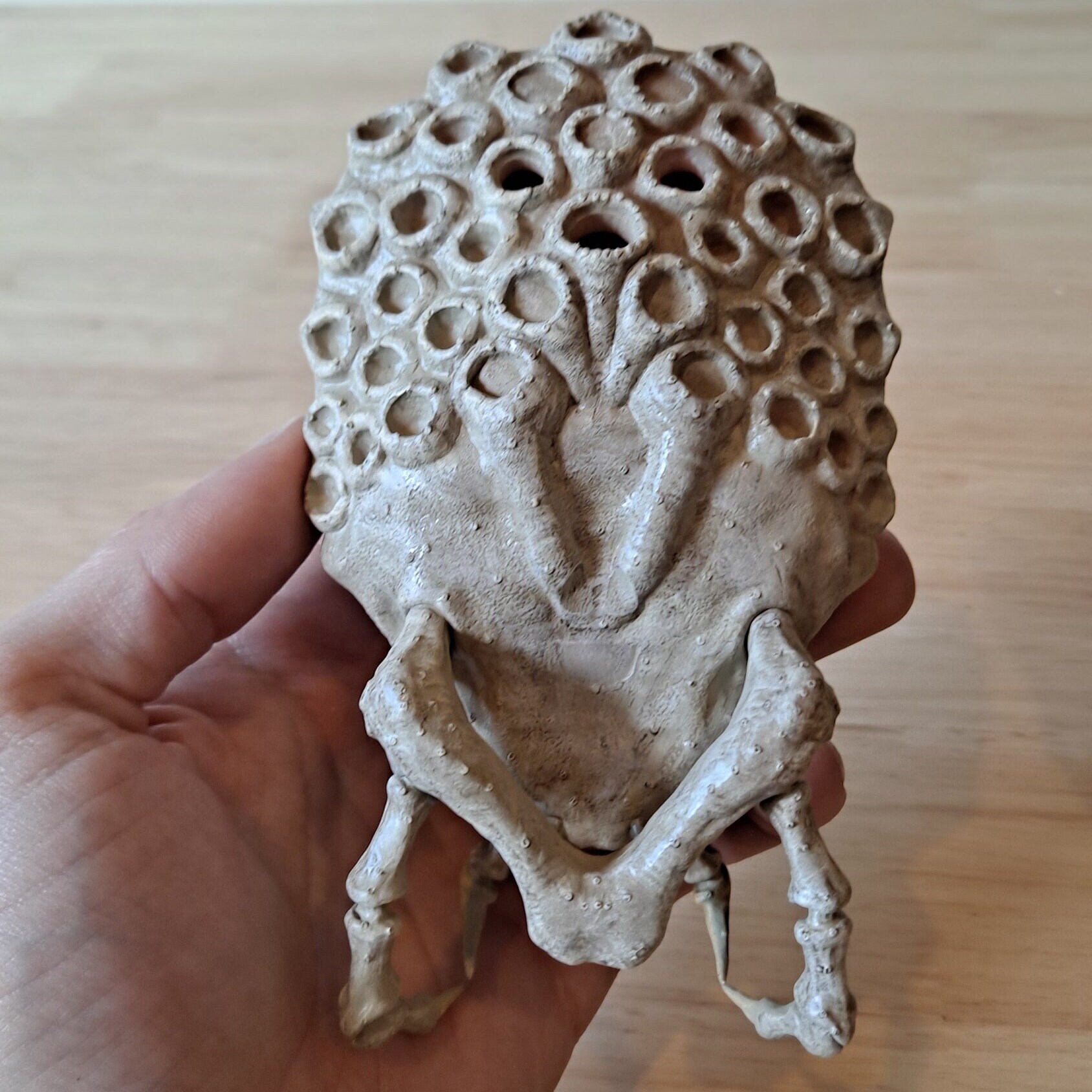 Predator Skull Display With Stand - Etsy