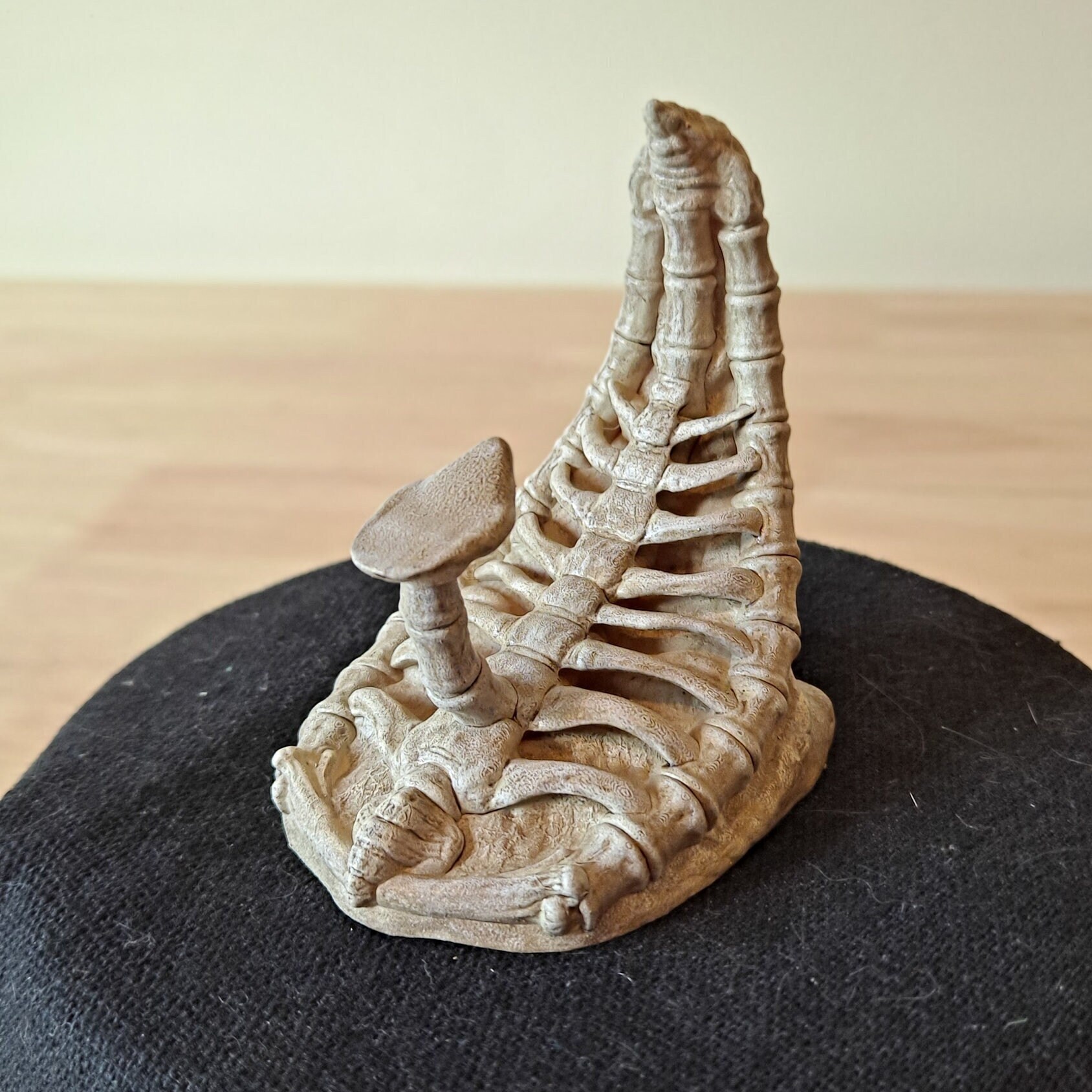 Predator Skull Display With Stand - Etsy