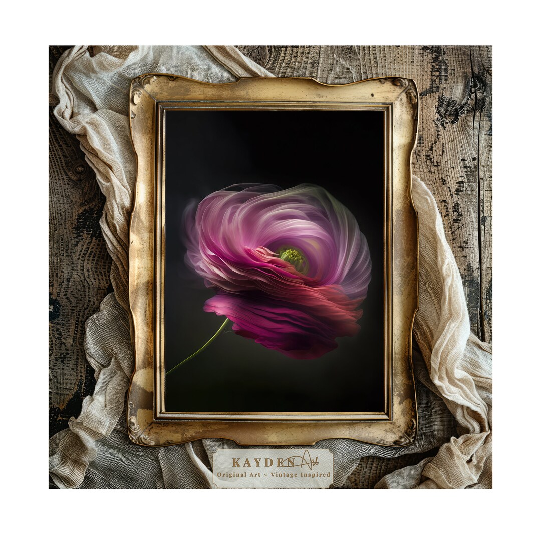 Fuchsia Pink Ranunculus Ethereal Flower Art Print Floral Artwork ...