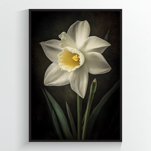 DIGITAL DOWNLOAD White Daffodil Flower - Flower Art Print - A2/A3/A4/A5/A6 - Printable Wall Art