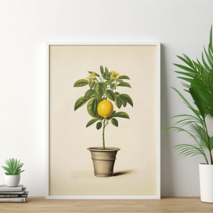 POSTER PRINT Lemon Tree in a Pot - Kitchen Wall Art - Fruit Art