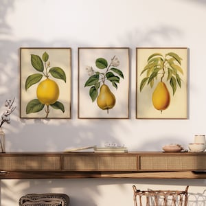 SET of 3 Yellow Fruit Prints - Yellow Wall Art Prints - Yellow Wall Decor - Fruit Wall Art, Lemon, Pear, Mango (UNFRAMED)