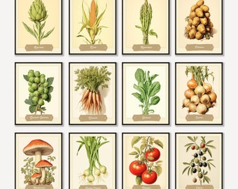 SET OF 12 Retro Vegetable Art Posters - Gallery Wall Set of 12 - Vegetable Print Wall, Carrots, Tomatoes, Onions, Mushrooms, Corn, Artichoke