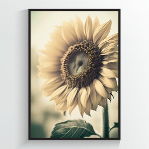 Sunflower Close Up in a Field - Flower Art Print - A2/A3/A4/A5/A6 DIGITAL DOWNLOAD - Printable Wall Art