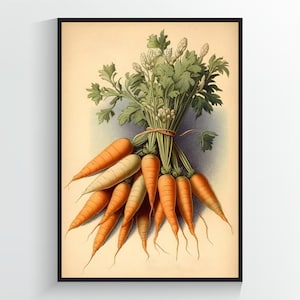 Wortelen Vintage Illustratie - Plantaardige Art Print - A2/A3/A4/A5/A6 DIGITALE DOWNLOAD - Afdrukbare Wall Art