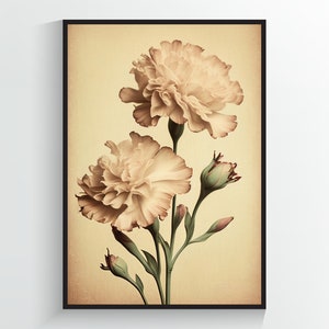 Carnation Vintage Poster - Flower Art Print - A2/A3/A4/A5/A6 DIGITAL DOWNLOAD - Printable Wall Art