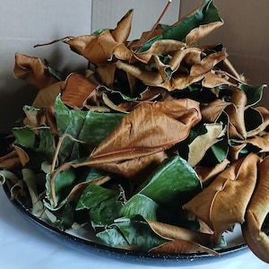 Puede incluir: Un gran montón de hojas secas y frescas sobre un cuenco oscuro y moteado. Las hojas muestran una mezcla de tonos verde vibrante y marrón marchito, con bordes rizados y tallos visibles, creando un arreglo denso y lleno de textura.