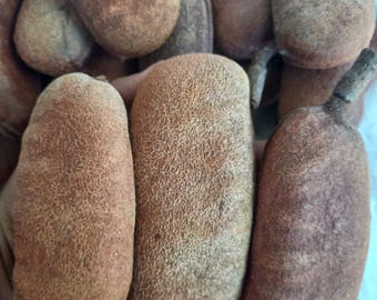 Stinking toe(Hymenaea courbaril) Powder(4oz)