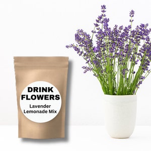 Lavender Lemonade Mix/Gifts for Foodies/Gourmet Beverage Mixes/Drink MIxes/Best Lemonade/Lavender Lemon/Culinary Lavender/Purple Lemonade