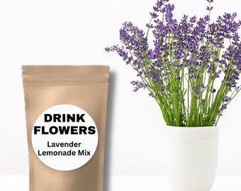 Lavender Lemonade Mix/Gifts for Foodies/Gourmet Beverage Mixes/Drink MIxes/Best Lemonade/Lavender Lemon/Culinary Lavender/Purple Lemonade