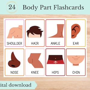 Parts of the Body Flashcards, Digital Download