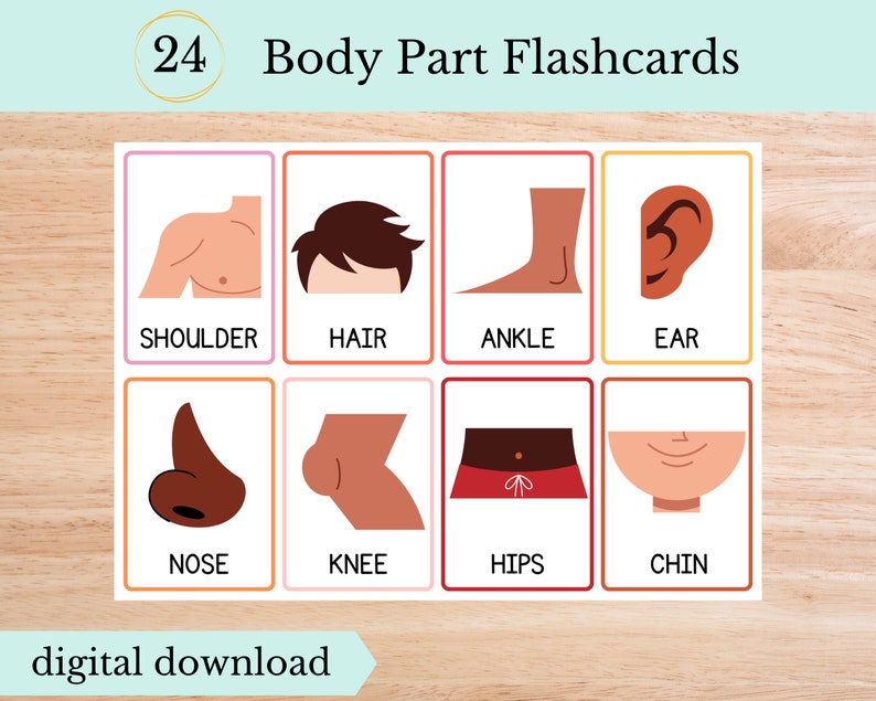 Parts of the Body Flashcards, Digital Download Etsy