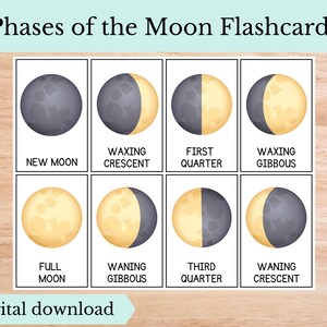 Phases of the Moon Flashcards, Digital Download