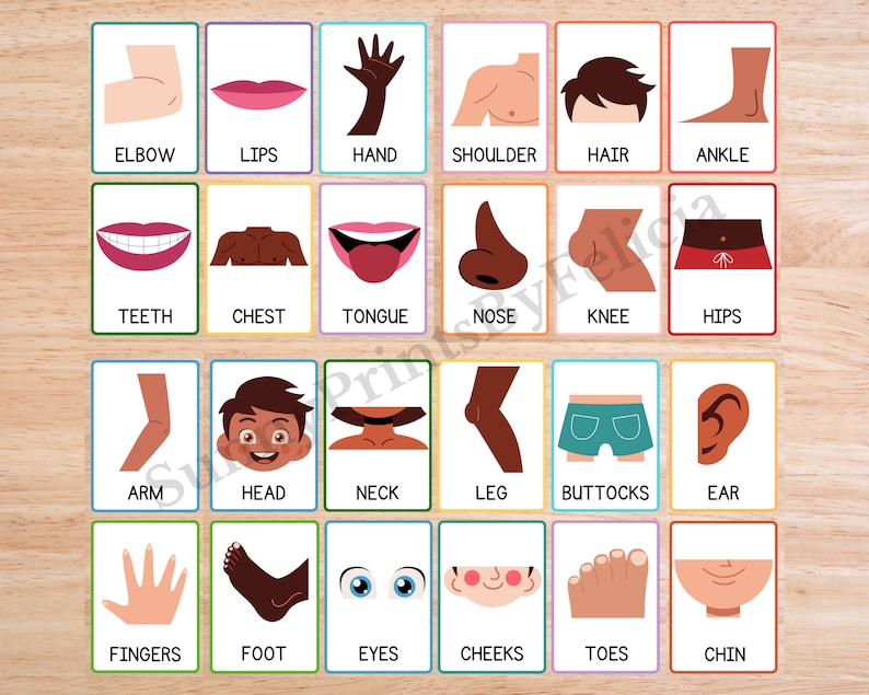 Parts of the Body Flashcards, Digital Download Etsy