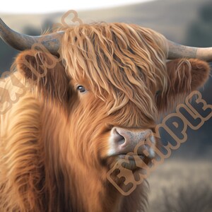 Highland Cow- Digital Download Only! Cute Highland Cow, Print on whatever you desire. PNG, JPEG