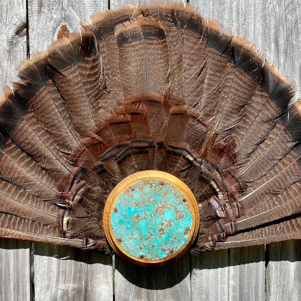 Turkey Fan Mount Etsy