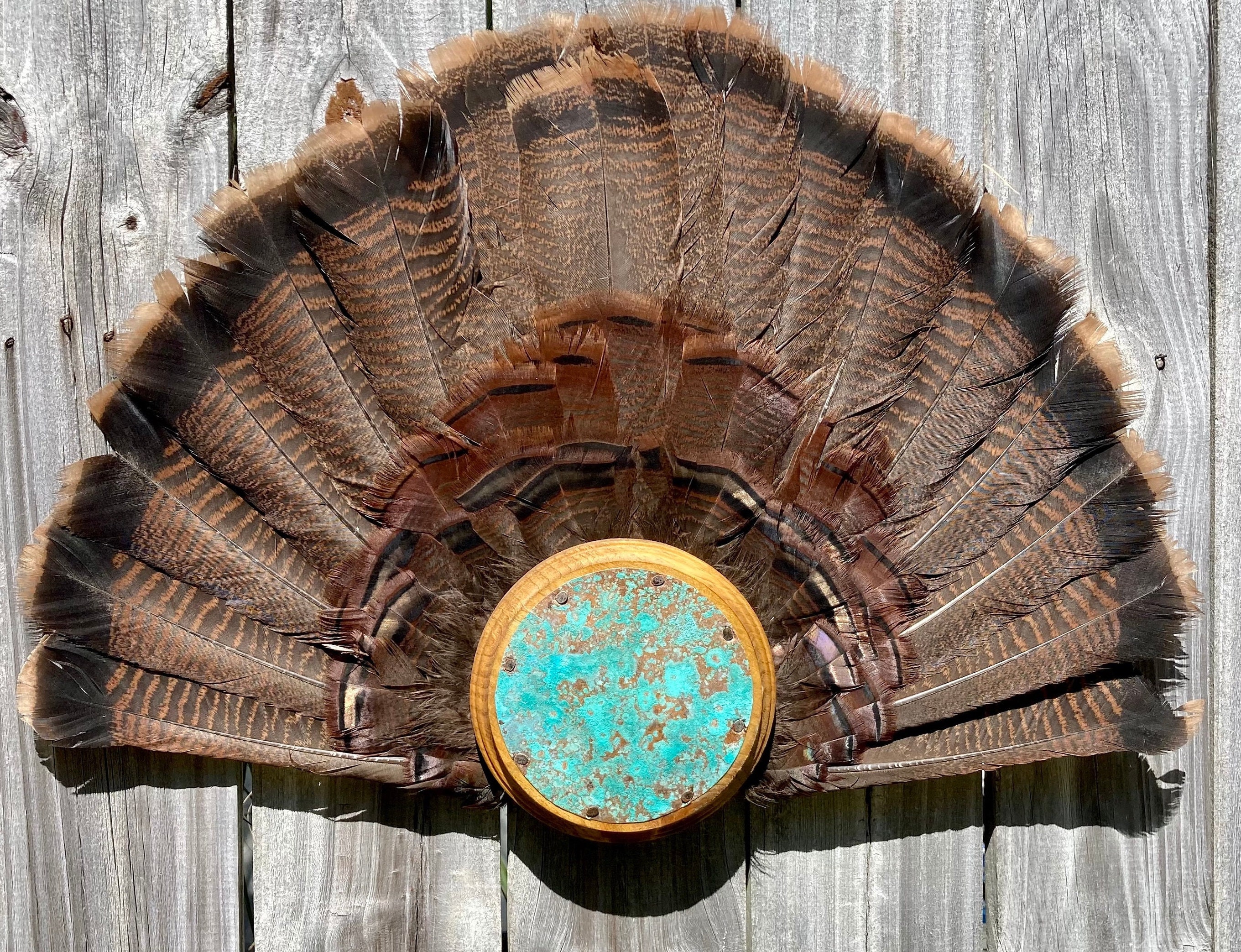 Turkey Tail Mounting Kits