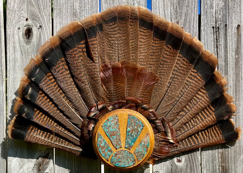 Turkey Fan Mount Etsy