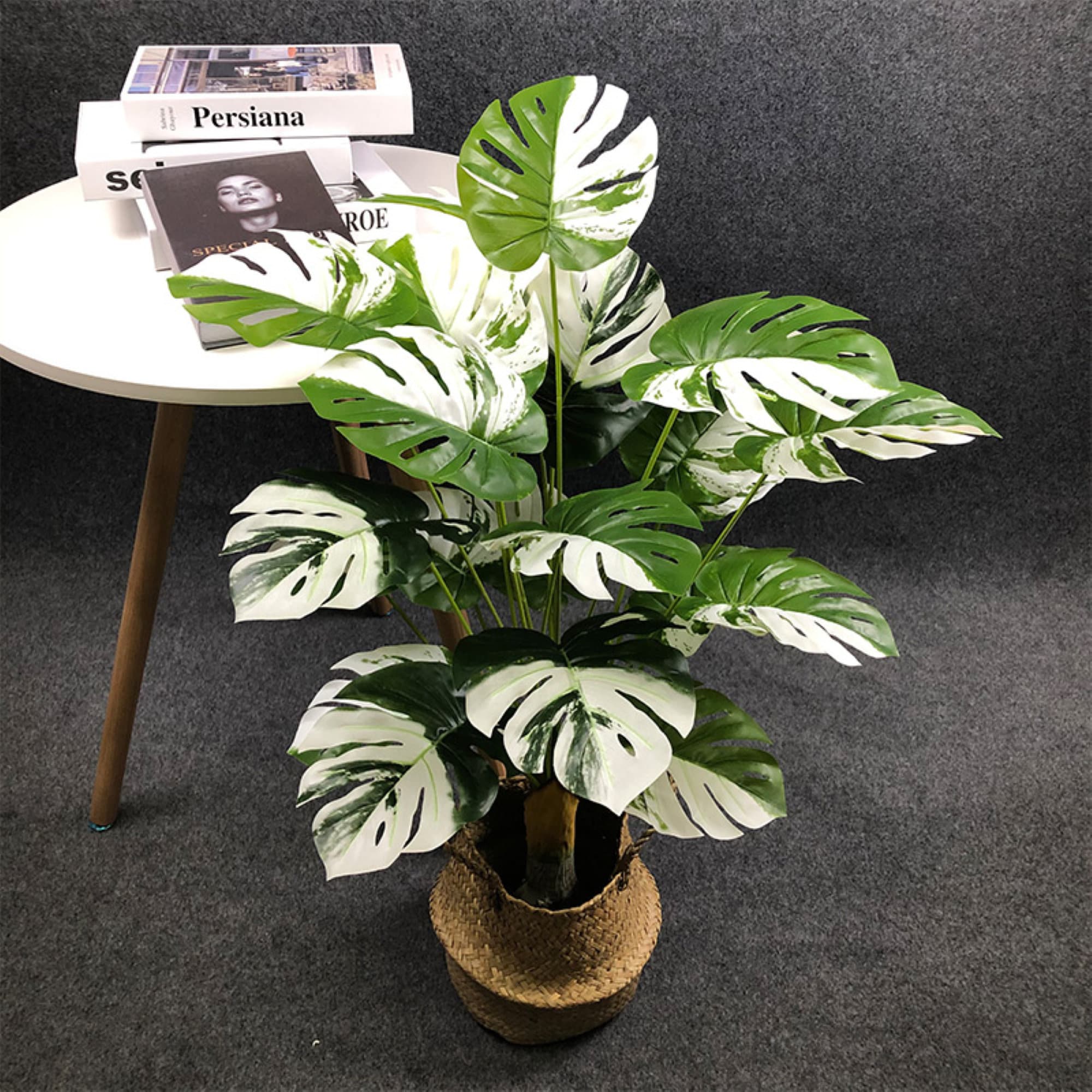 Rare Highly Variegated Monstera Deliciosa Albo Half Moon Etsy Canada