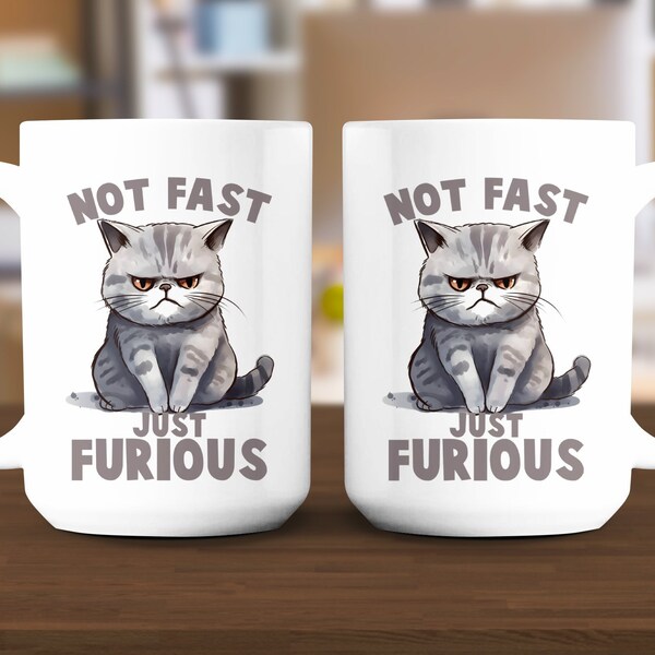 Not Fast Just Furious Cat Mug, Grumpy Cat Lover Gift, Funny Persian Cat Coffee Cup, Unique Animal Humor, Cat Parent Office Mug, Cute Cat Art