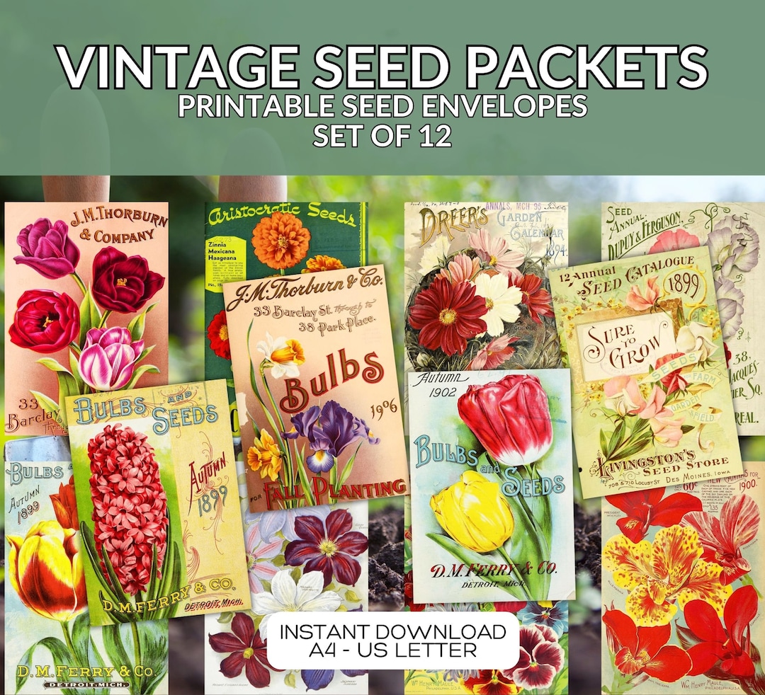 Printable Vintage Seed Packet Bundle: DIY Seed Envelopes (PDF Download ...