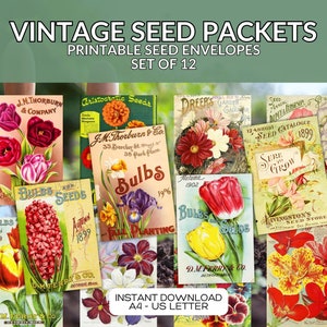 Pacote de pacotes de sementes vintage para impressão, download instantâneo em PDF em tamanho A4 e Carta - Pacote de envelopes para salvar sementes