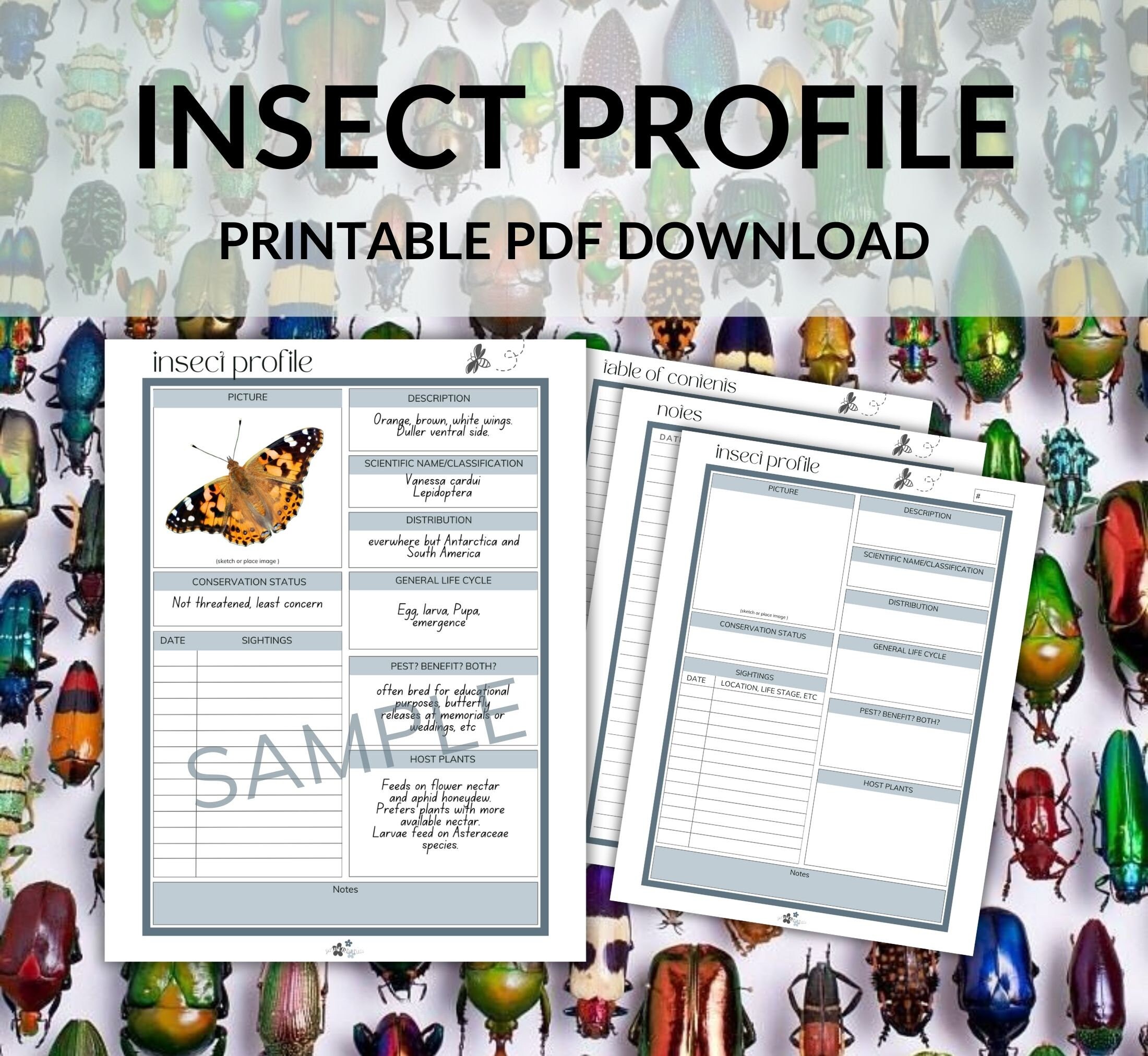 Insect Profile Printable PDF Instant Download - Entomology Studies ...