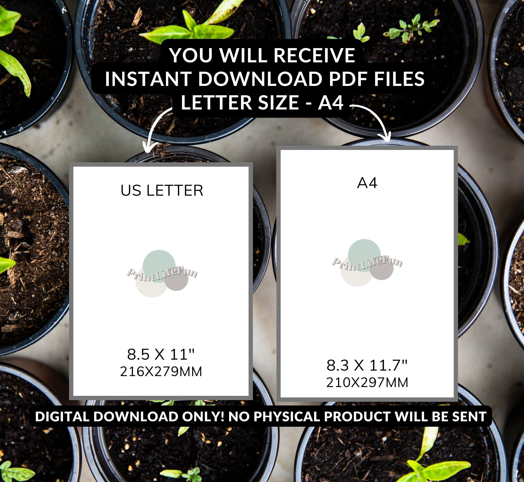 Printable Seed Envelopes DIY Seed Packets Seed Storage Seed Saving ...