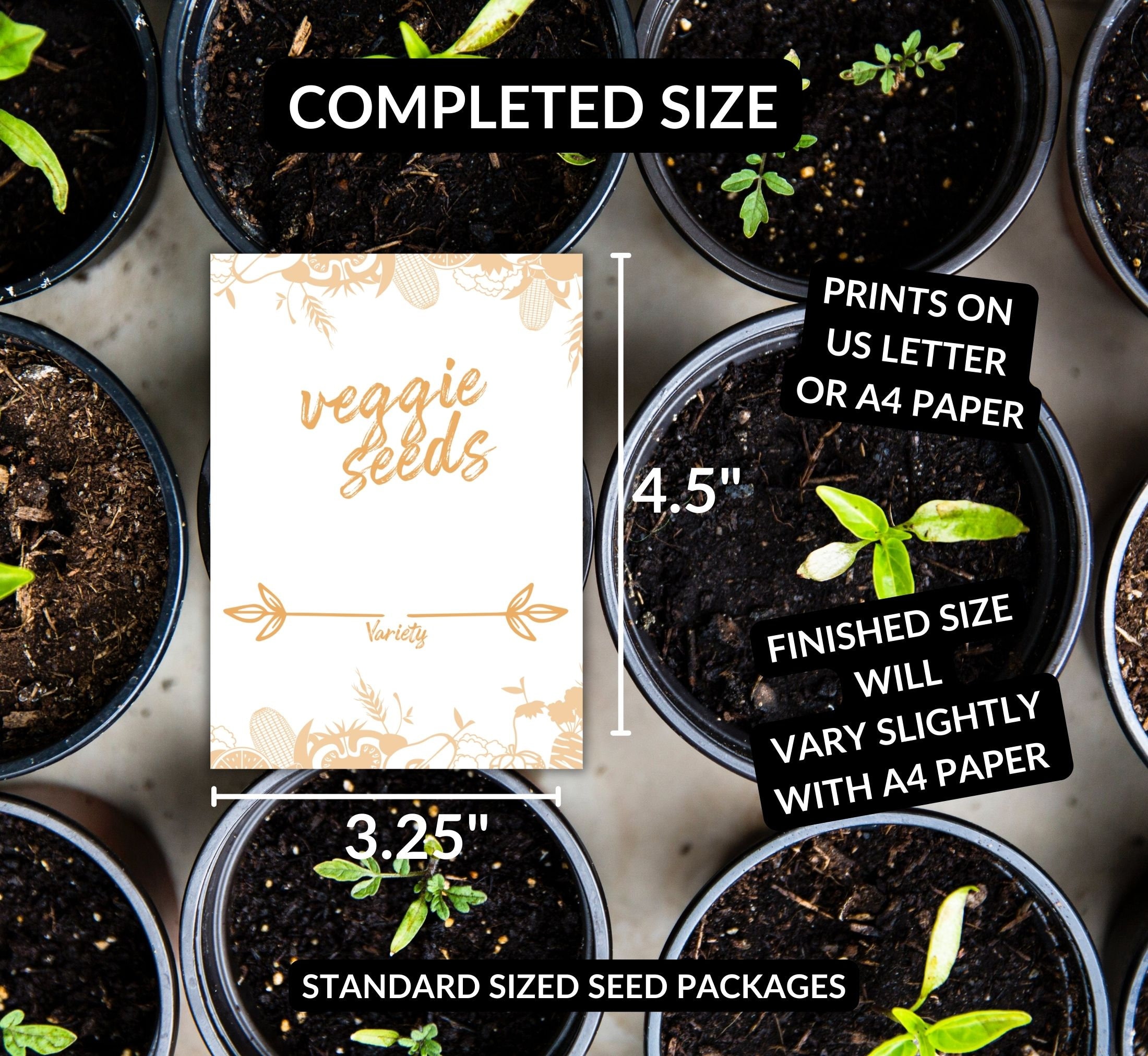 Printable Vegetable Seed Envelopes DIY Seed Packets Seed Storage Seed ...